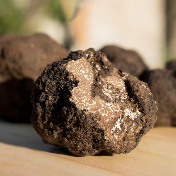 Tartufo nero uncinato