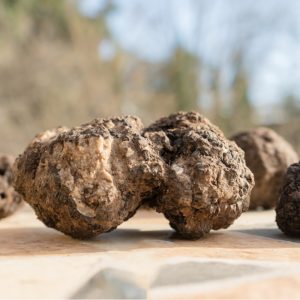Tartufi neri uncinati