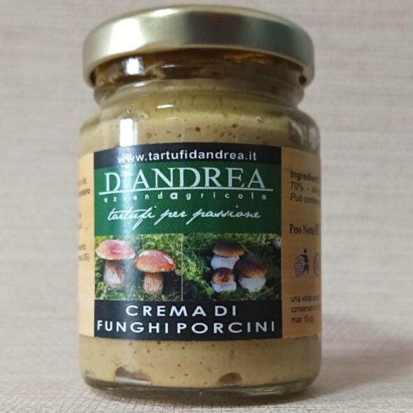 Crema di funghi porcini